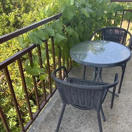 アパート Radulovic ビオグラード・ナ・モル