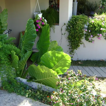 アパート Radulovic *