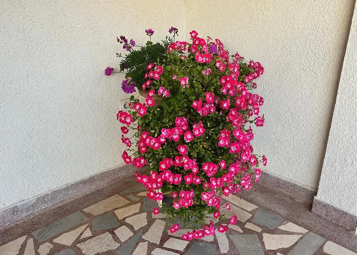 Radulovic アパート