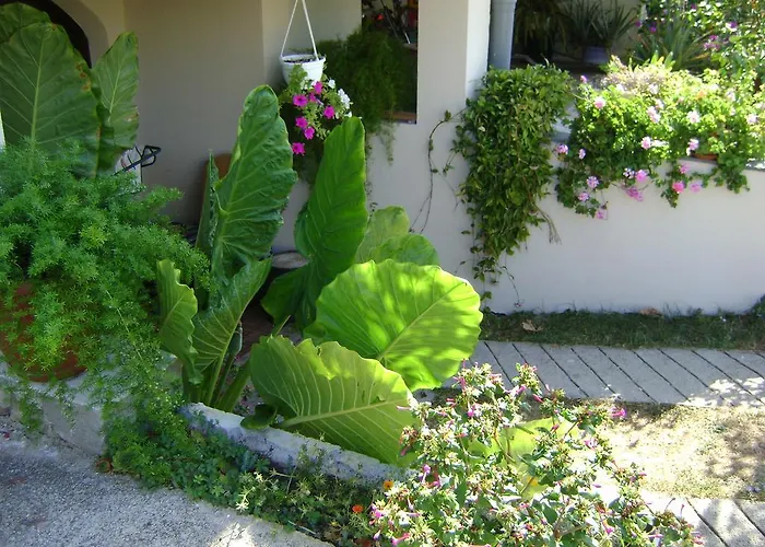 アパート Radulovic *